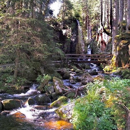 C4 Albmatte-Fewo Sauna, Hallenbad Aussenbecken Massagen Nebenan Menzenschwand-Hinterdorf Zewnętrze zdjęcie