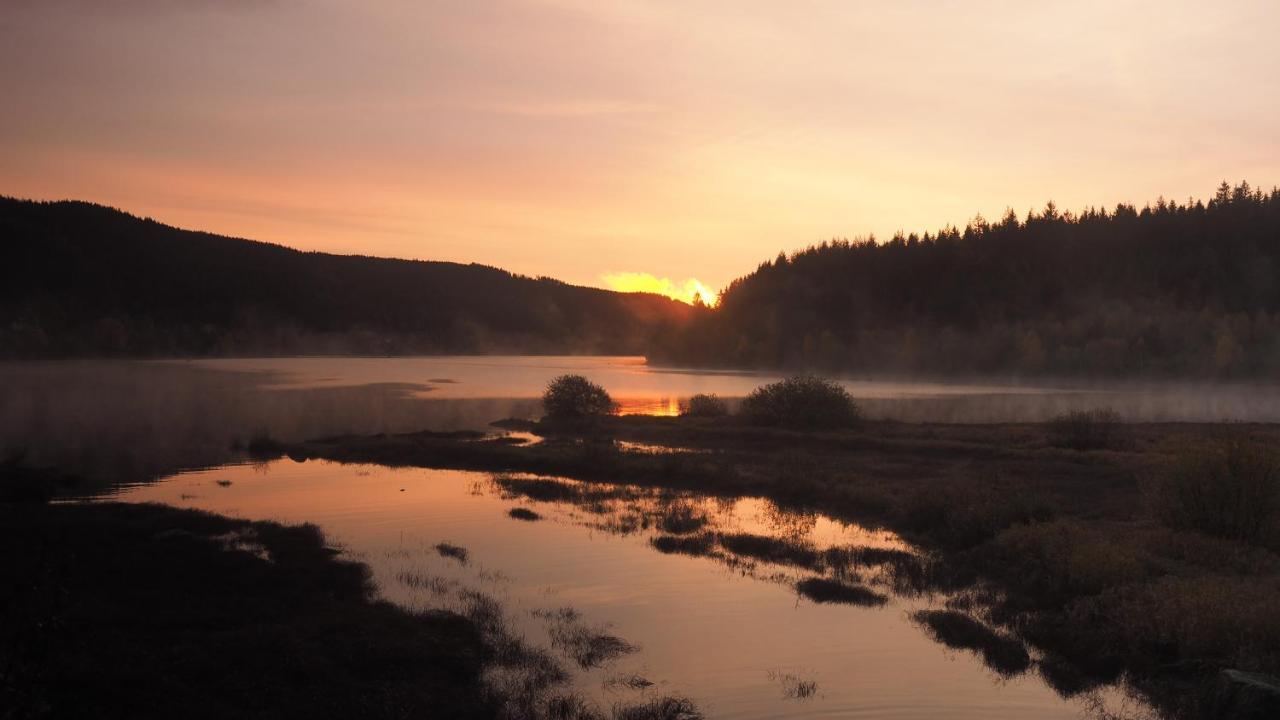 C4 Albmatte-Fewo Sauna, Hallenbad Aussenbecken Massagen Nebenan Menzenschwand-Hinterdorf Zewnętrze zdjęcie