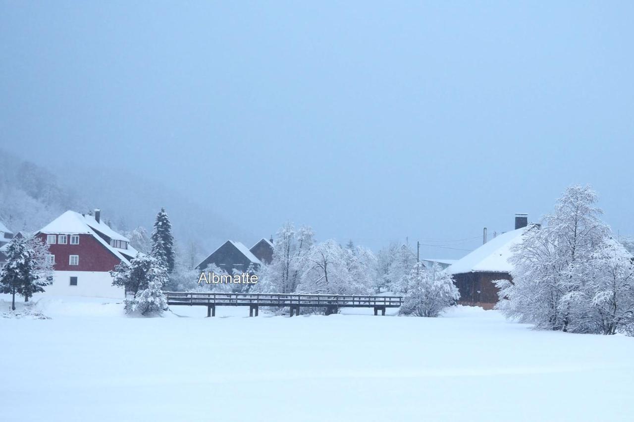 C4 Albmatte-Fewo Sauna, Hallenbad Aussenbecken Massagen Nebenan Menzenschwand-Hinterdorf Zewnętrze zdjęcie