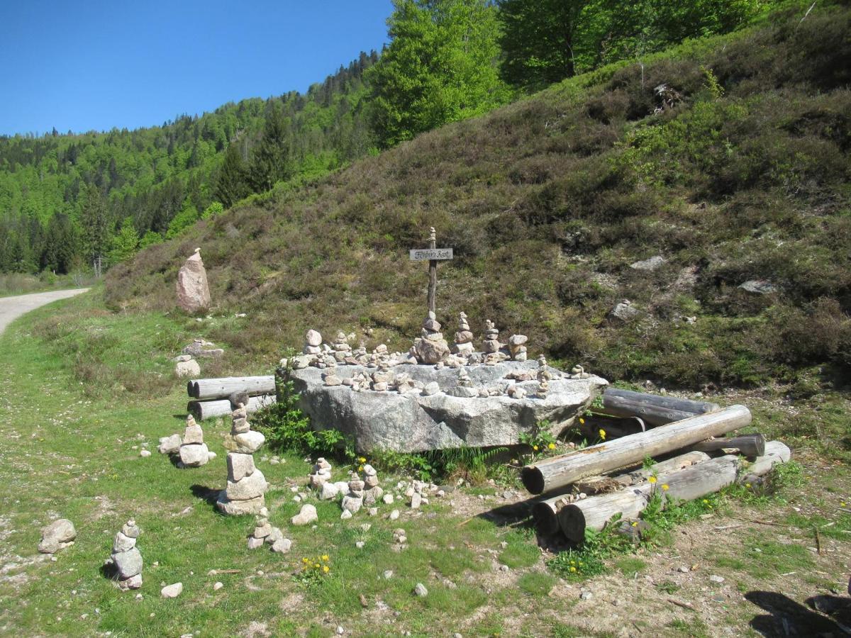 C4 Albmatte-Fewo Sauna, Hallenbad Aussenbecken Massagen Nebenan Menzenschwand-Hinterdorf Zewnętrze zdjęcie