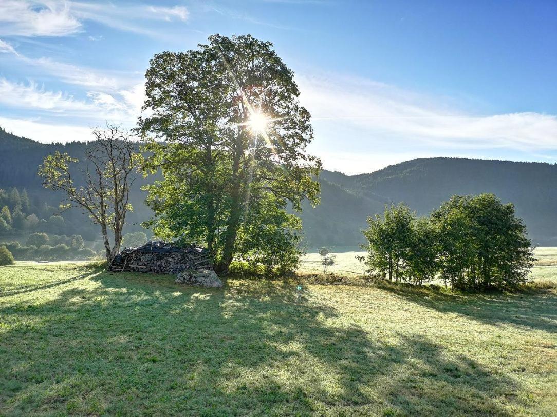 C4 Albmatte-Fewo Sauna, Hallenbad Aussenbecken Massagen Nebenan Menzenschwand-Hinterdorf Zewnętrze zdjęcie