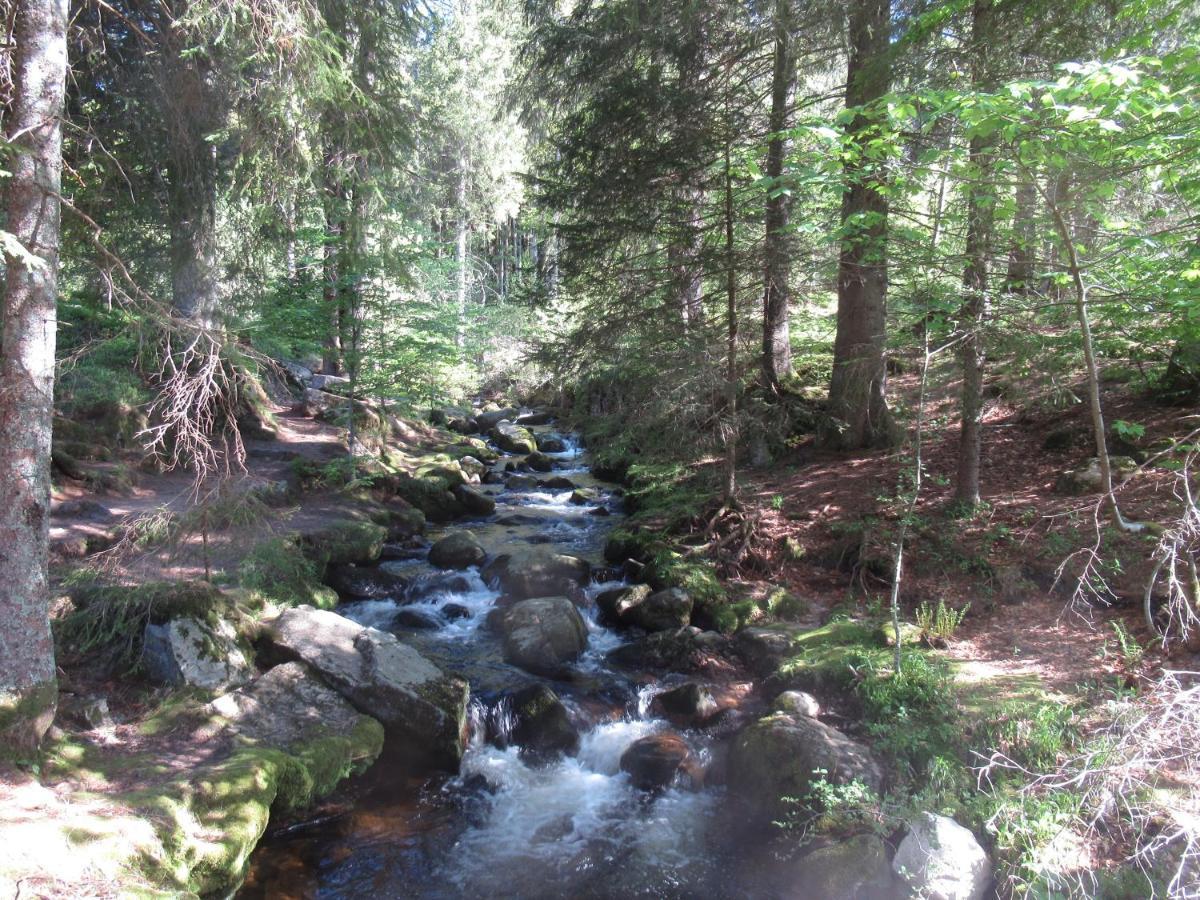 C4 Albmatte-Fewo Sauna, Hallenbad Aussenbecken Massagen Nebenan Menzenschwand-Hinterdorf Zewnętrze zdjęcie