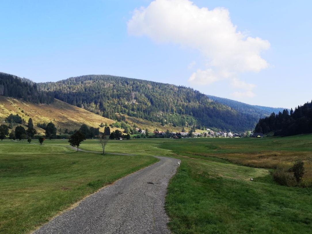 C4 Albmatte-Fewo Sauna, Hallenbad Aussenbecken Massagen Nebenan Menzenschwand-Hinterdorf Zewnętrze zdjęcie