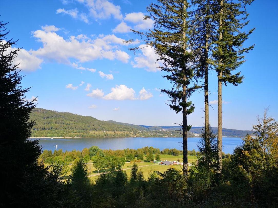 C4 Albmatte-Fewo Sauna, Hallenbad Aussenbecken Massagen Nebenan Menzenschwand-Hinterdorf Zewnętrze zdjęcie