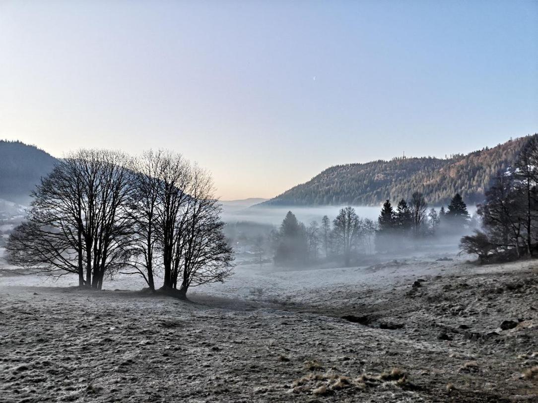 C4 Albmatte-Fewo Sauna, Hallenbad Aussenbecken Massagen Nebenan Menzenschwand-Hinterdorf Zewnętrze zdjęcie