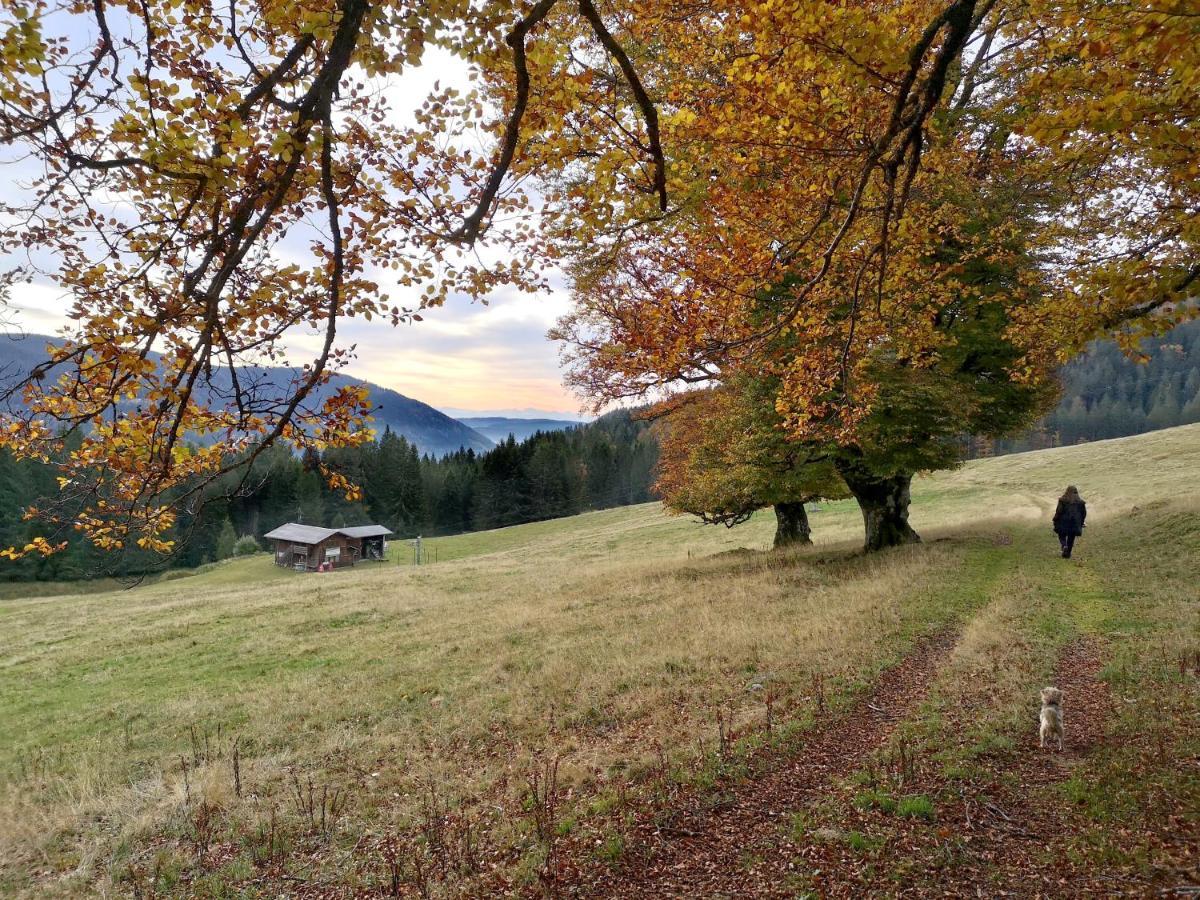 C4 Albmatte-Fewo Sauna, Hallenbad Aussenbecken Massagen Nebenan Menzenschwand-Hinterdorf Zewnętrze zdjęcie