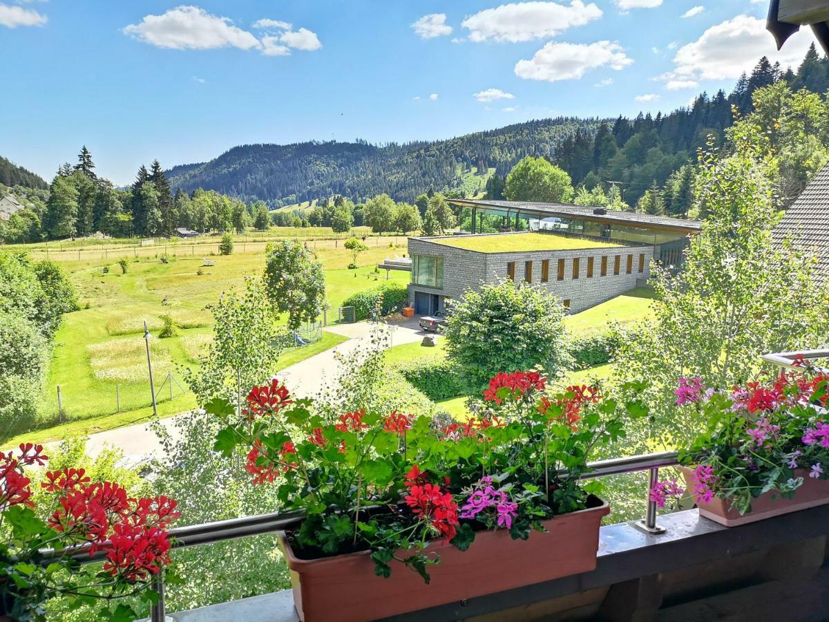 C4 Albmatte-Fewo Sauna, Hallenbad Aussenbecken Massagen Nebenan Menzenschwand-Hinterdorf Zewnętrze zdjęcie