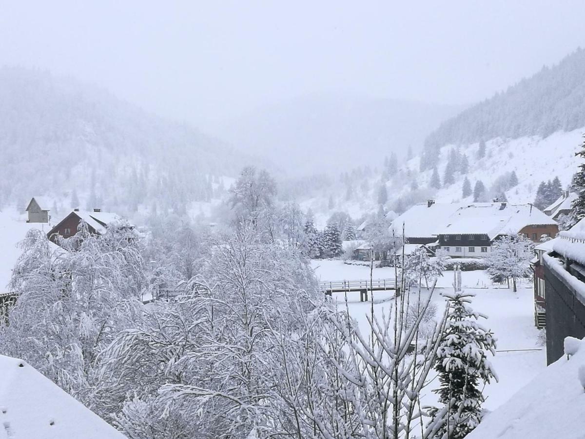 C4 Albmatte-Fewo Sauna, Hallenbad Aussenbecken Massagen Nebenan Menzenschwand-Hinterdorf Zewnętrze zdjęcie