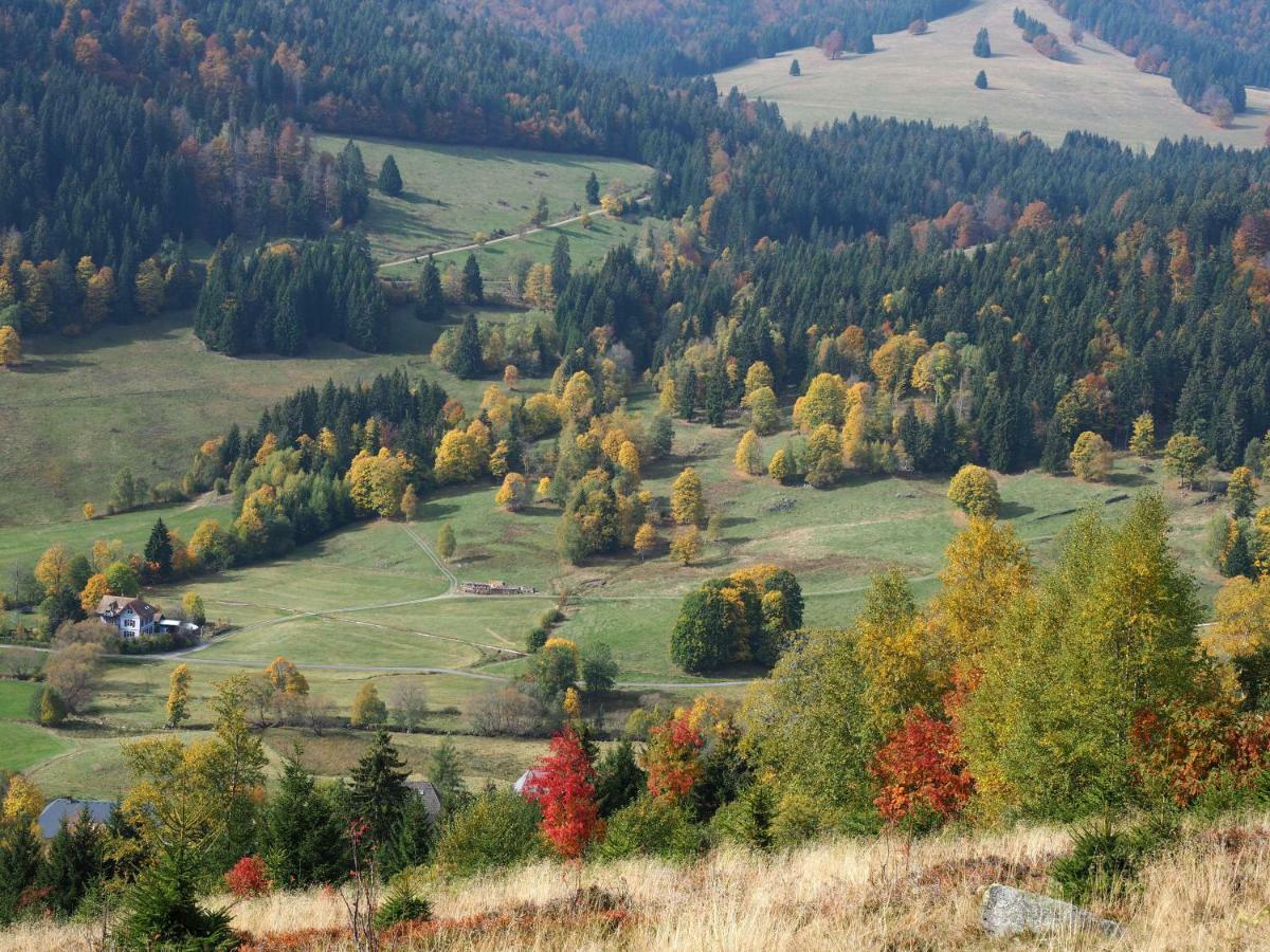 C4 Albmatte-Fewo Sauna, Hallenbad Aussenbecken Massagen Nebenan Menzenschwand-Hinterdorf Zewnętrze zdjęcie