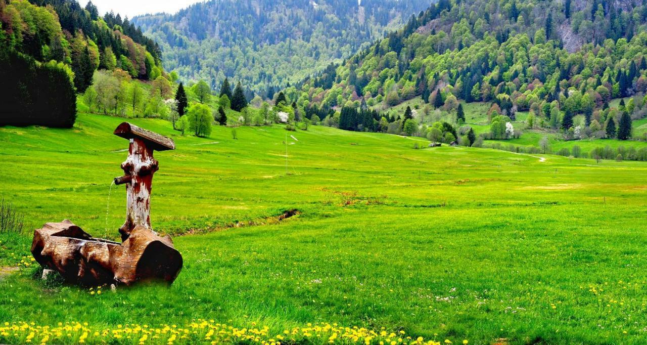 C4 Albmatte-Fewo Sauna, Hallenbad Aussenbecken Massagen Nebenan Menzenschwand-Hinterdorf Zewnętrze zdjęcie
