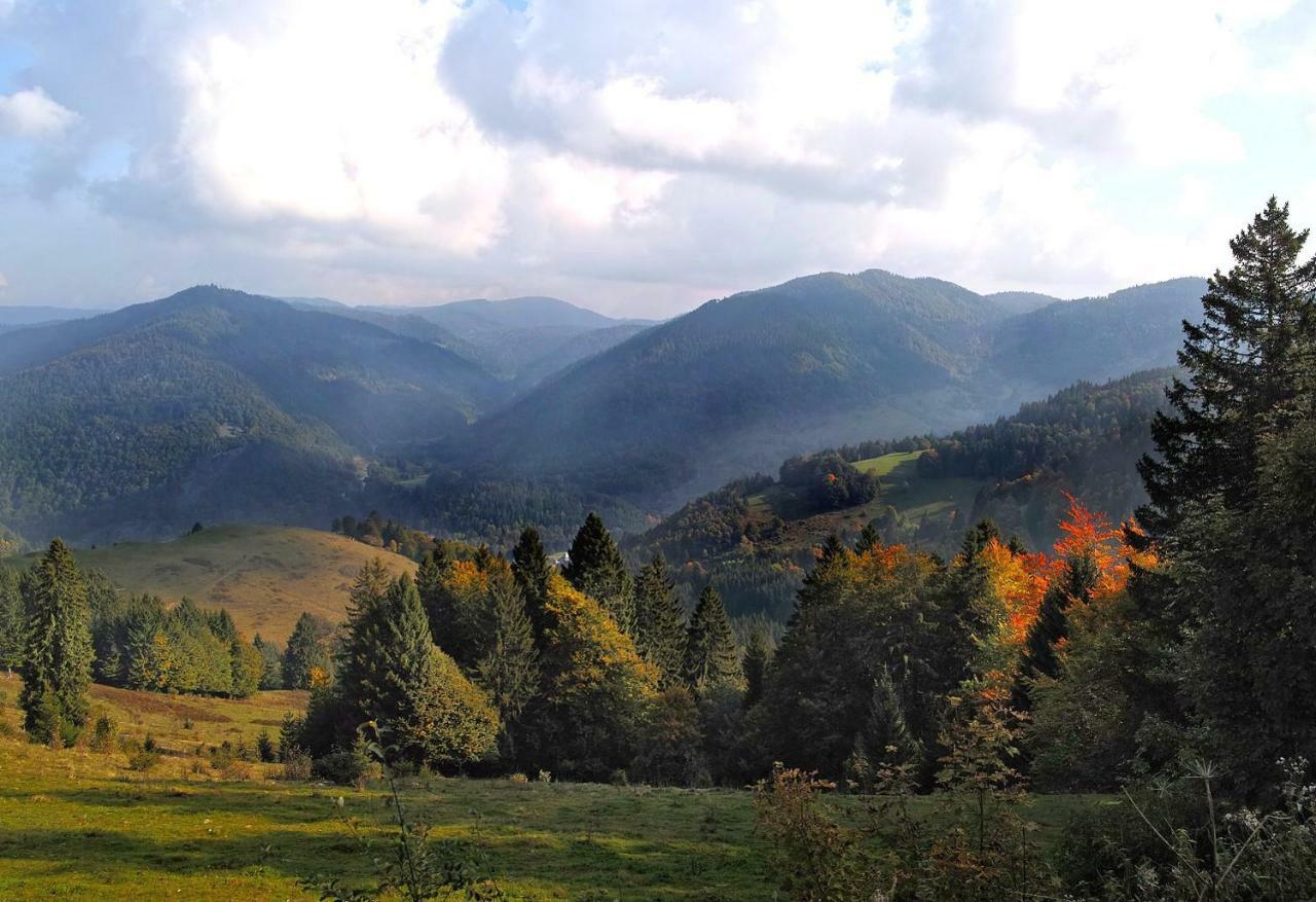 C4 Albmatte-Fewo Sauna, Hallenbad Aussenbecken Massagen Nebenan Menzenschwand-Hinterdorf Zewnętrze zdjęcie