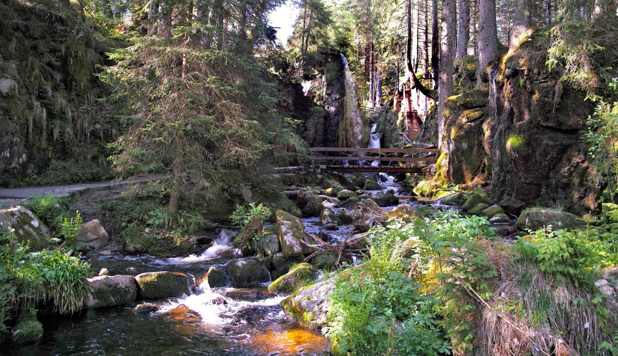 C4 Albmatte-Fewo Sauna, Hallenbad Aussenbecken Massagen Nebenan Menzenschwand-Hinterdorf Zewnętrze zdjęcie
