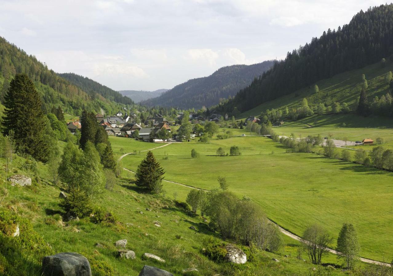 C4 Albmatte-Fewo Sauna, Hallenbad Aussenbecken Massagen Nebenan Menzenschwand-Hinterdorf Zewnętrze zdjęcie
