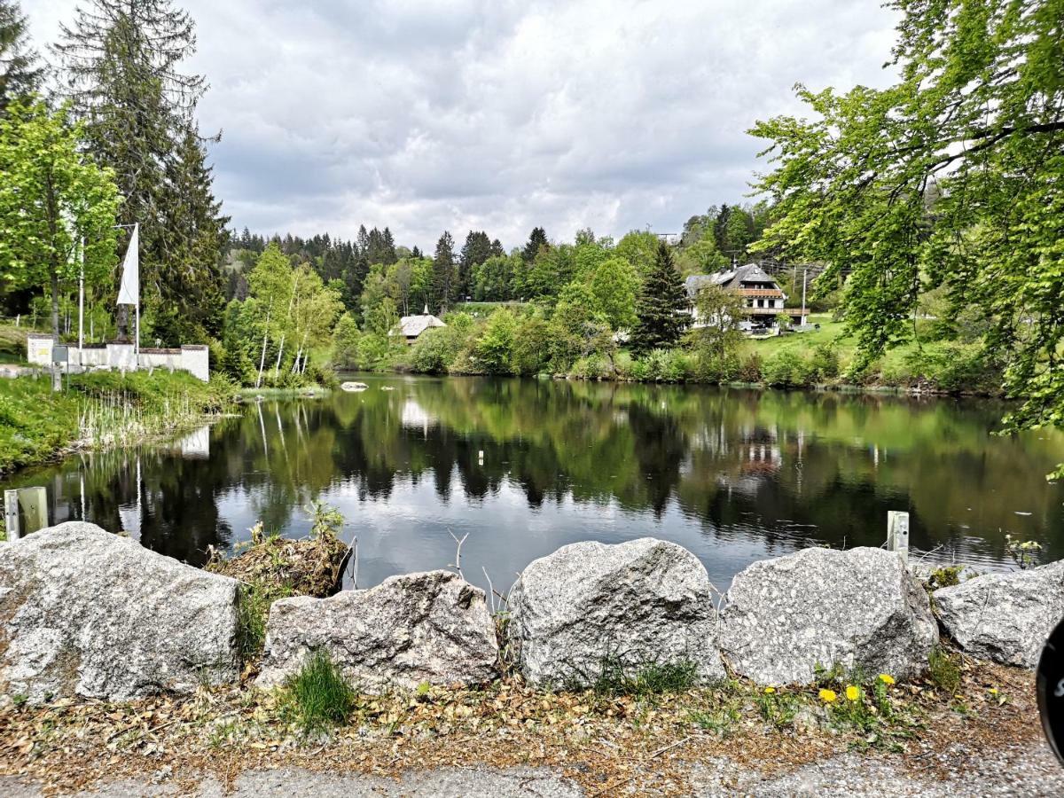 C4 Albmatte-Fewo Sauna, Hallenbad Aussenbecken Massagen Nebenan Menzenschwand-Hinterdorf Zewnętrze zdjęcie