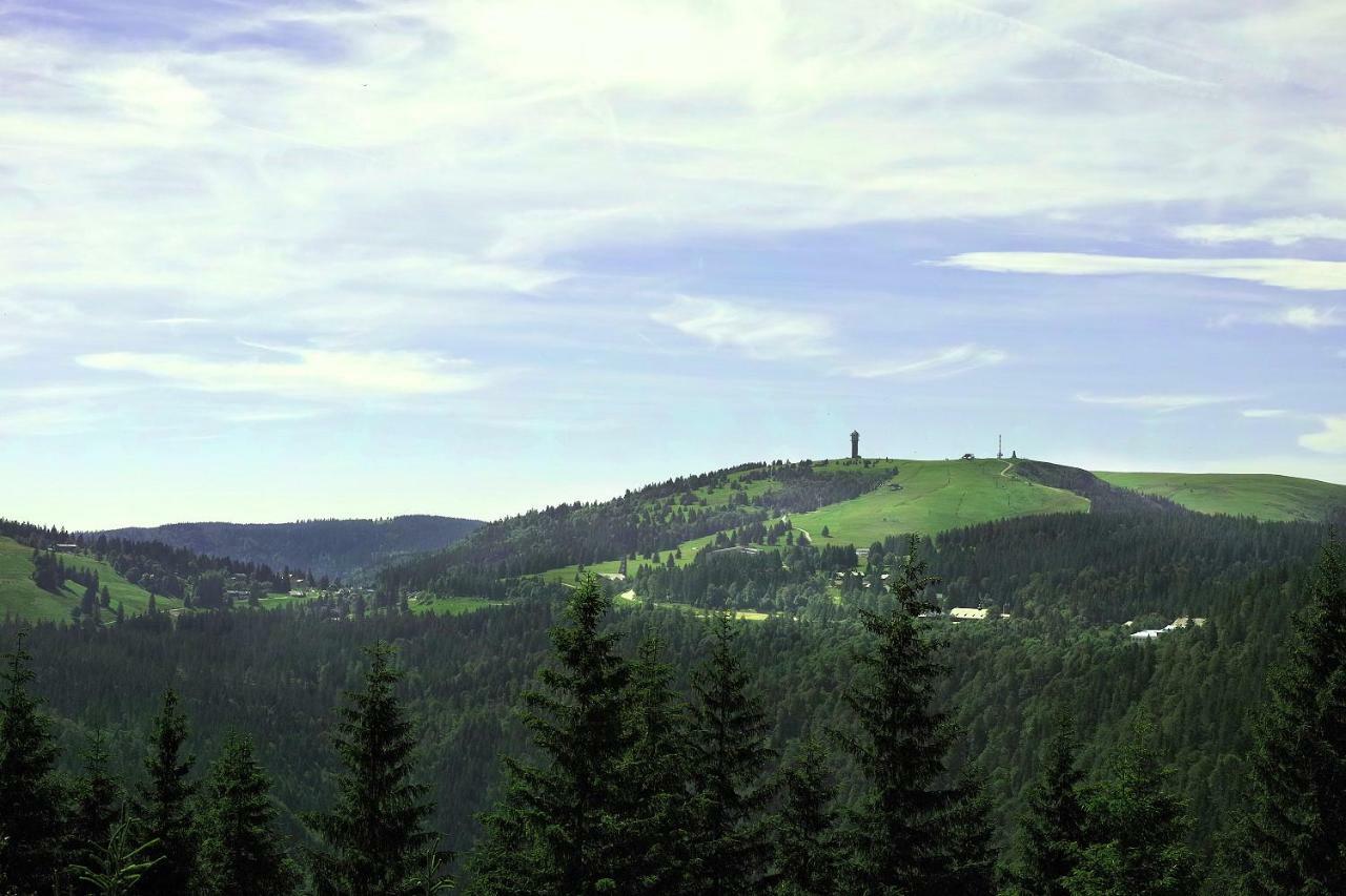 C4 Albmatte-Fewo Sauna, Hallenbad Aussenbecken Massagen Nebenan Menzenschwand-Hinterdorf Zewnętrze zdjęcie