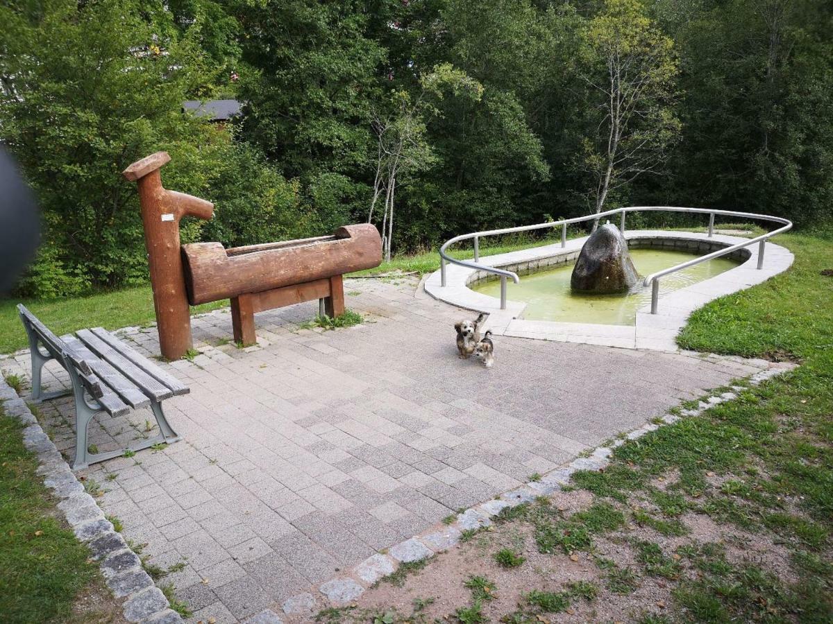 C4 Albmatte-Fewo Sauna, Hallenbad Aussenbecken Massagen Nebenan Menzenschwand-Hinterdorf Zewnętrze zdjęcie